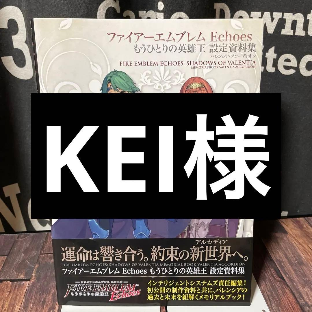 ファイアーエムブレム　Echoes　もうひとりの英雄王　設定資料集