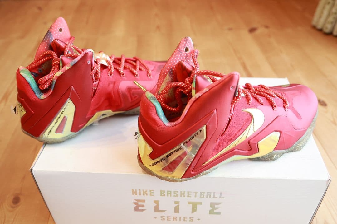 Nike バッシュ　REBRON XI ELITE SERIES