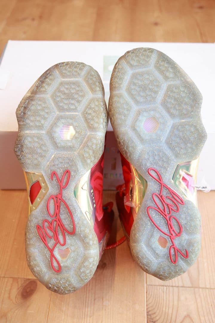 Nike バッシュ　REBRON XI ELITE SERIES