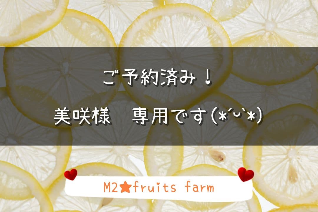 【ꕤ224】熊本県産『優品』20kg マイヤーレモン (国産グリーンレモン)