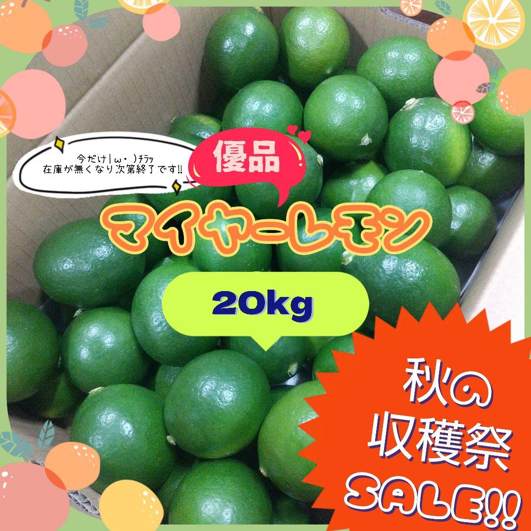 【ꕤ224】熊本県産『優品』20kg マイヤーレモン (国産グリーンレモン)