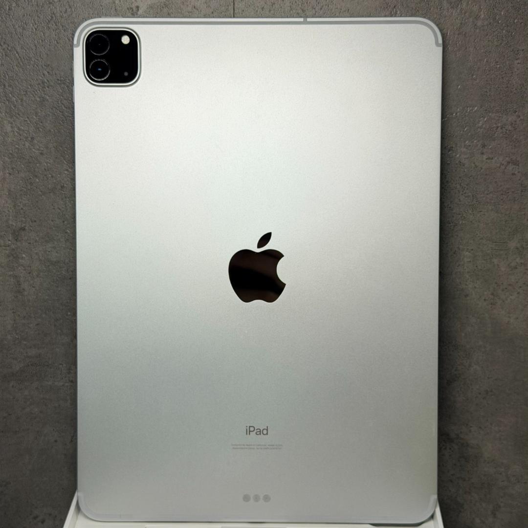 11インチ iPad Pro 第2世代 Wi-Fi+Cellular 256GB