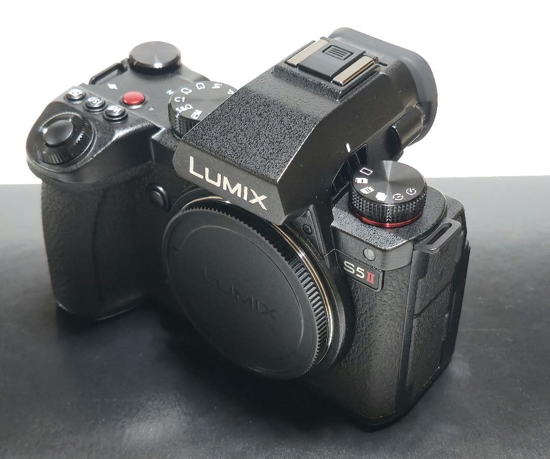 LUMIX DC-S5M2W ダブルレンズキット 【美品/低ショット1108回】