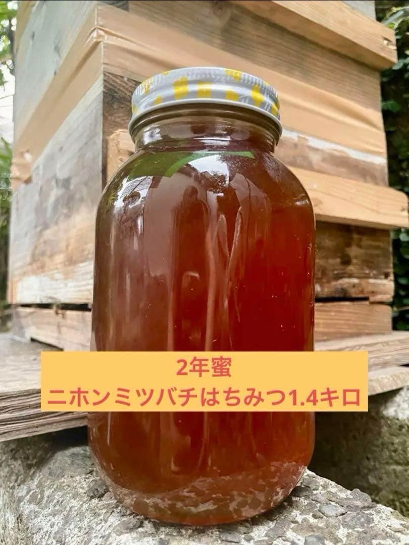 希少！☆ニホンミツバチはちみつ☆ 1.4キロ