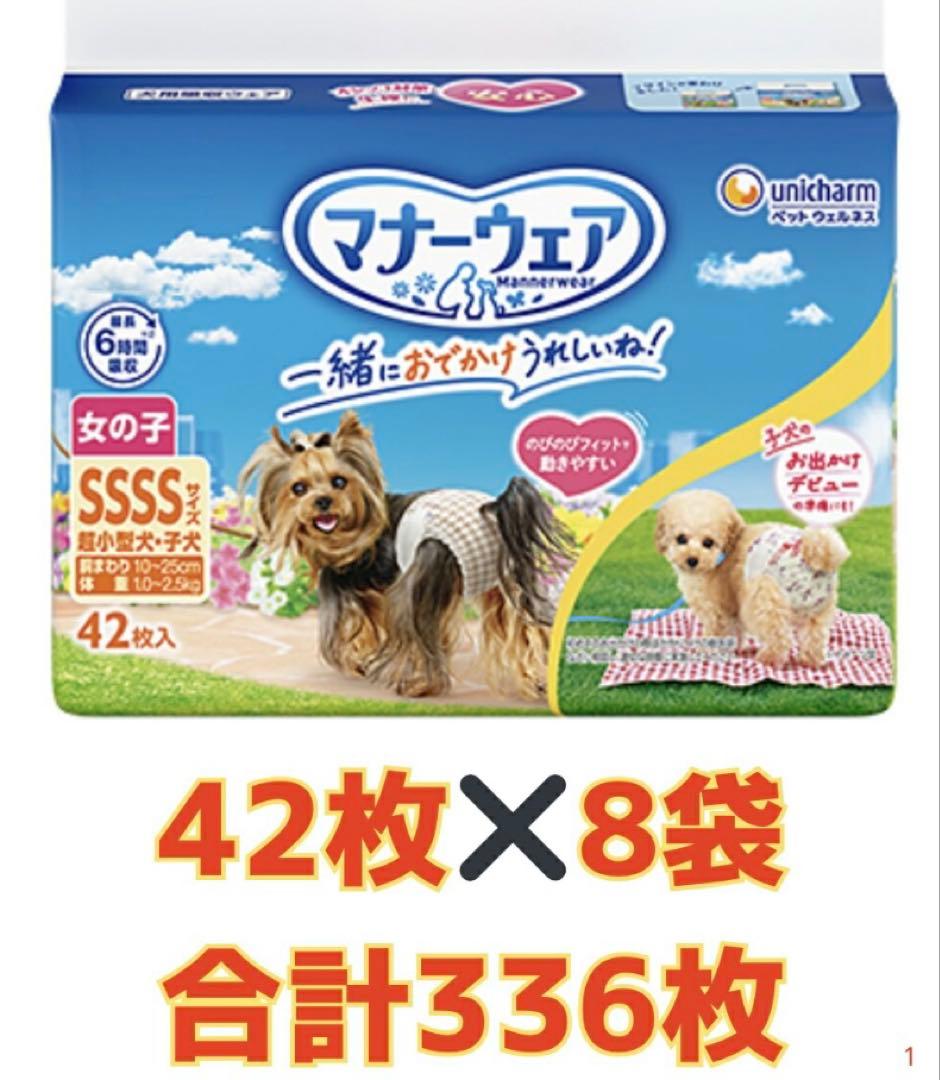 マナーウェアー女の子ssss