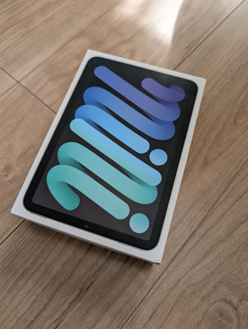 iPad mini (第7世代) Cellular スペースグレー 256GB