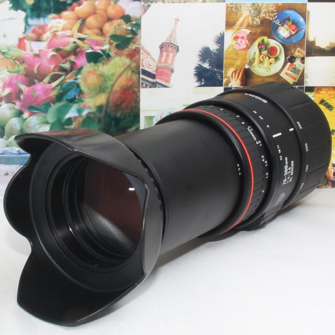 ❤️ど迫力の超望遠レンズ❤️シグマ 70-300mm ソニー aマウント用❤️