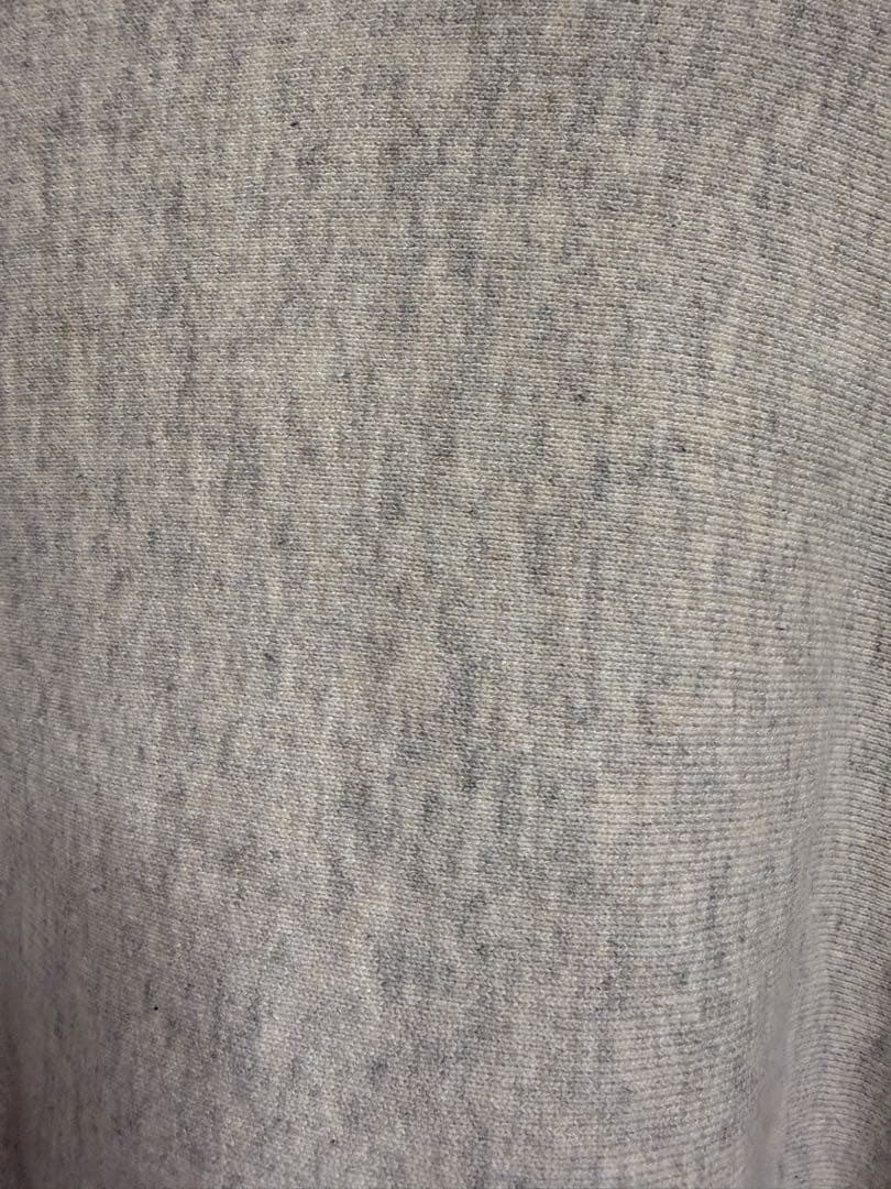 CHAMPION リバースウィーブTRUE TO ARCHIVES2ndパテント