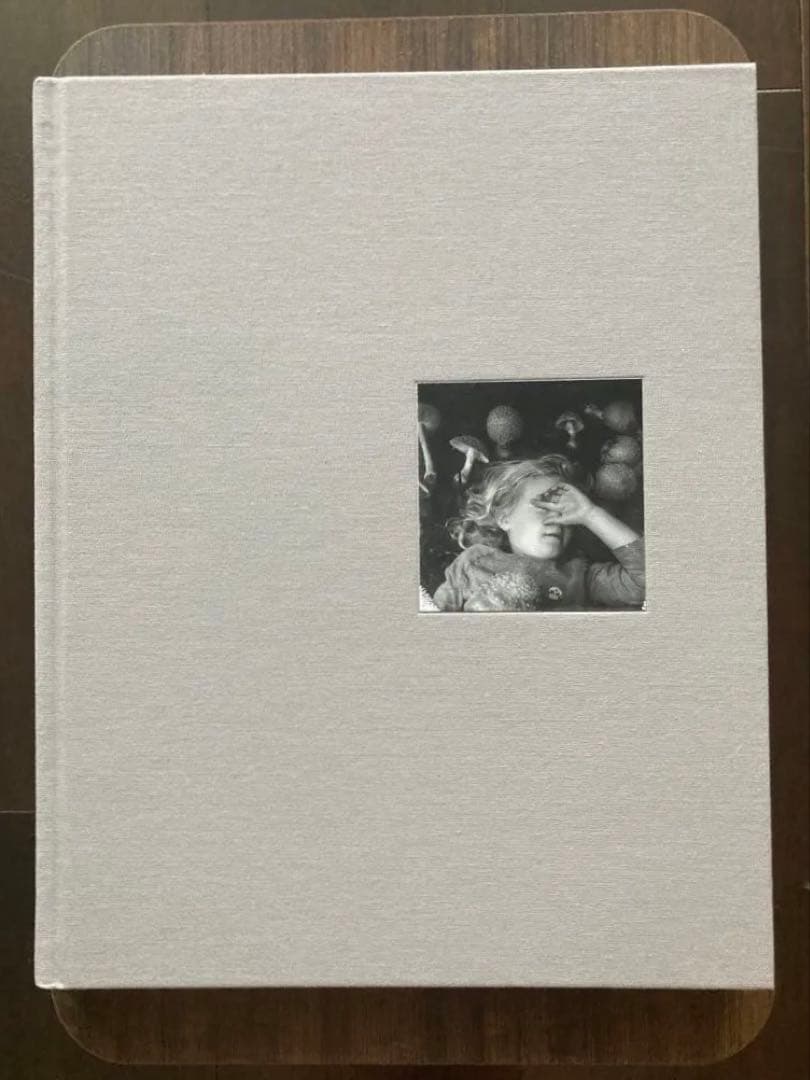 洋書 Jesse Lenz the seraphim