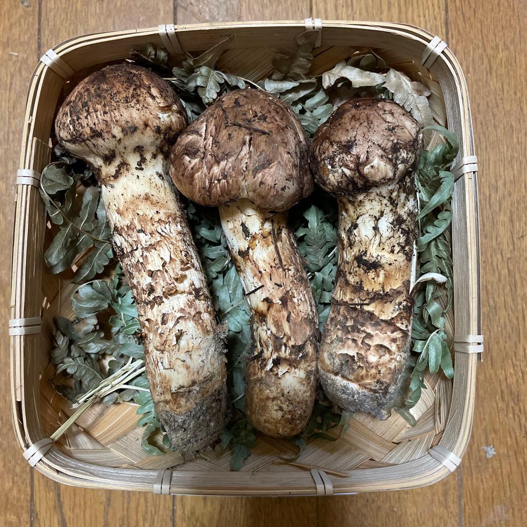 岩手県久慈市産松茸230g