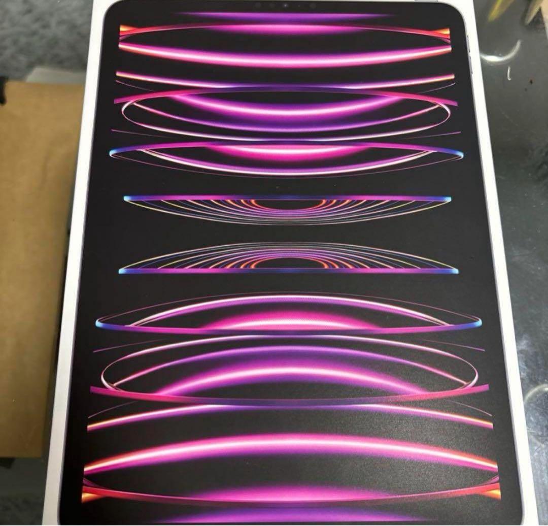 iPad Pro 11インチ　第四世代