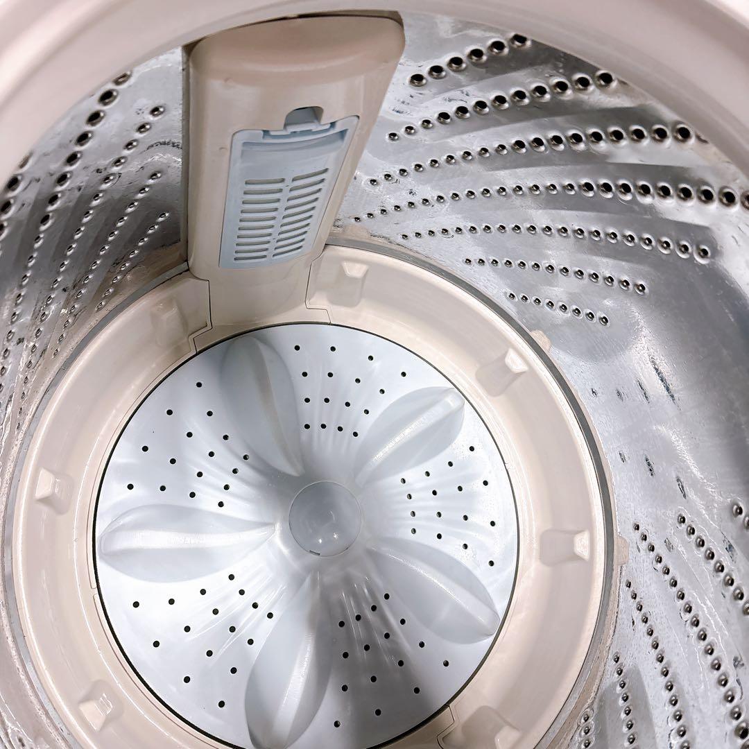 ★送料込み★5.5kg 洗濯機ハイセンス カビ取り槽洗浄 簡易乾燥HW-T55D