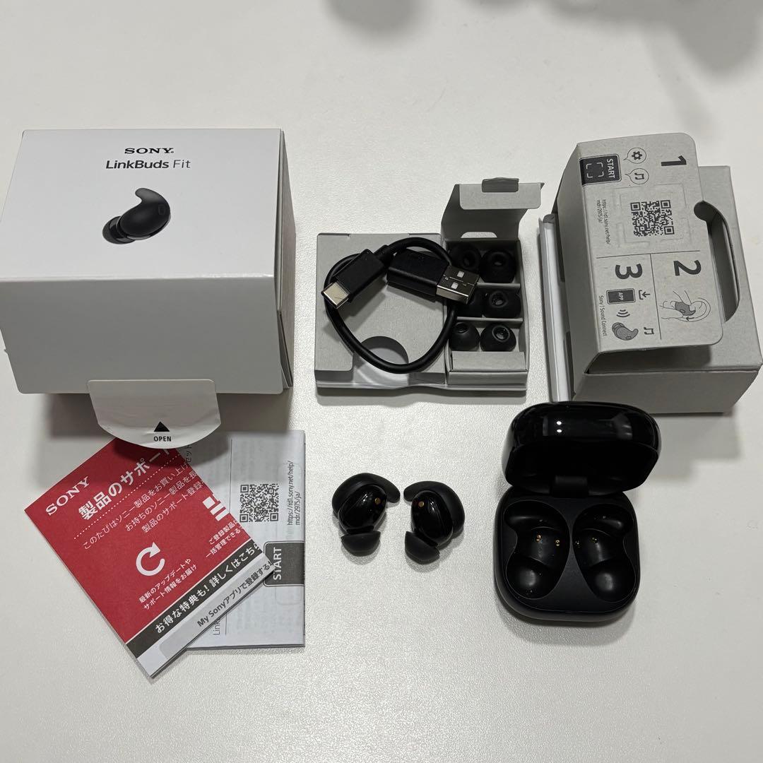 イヤホン SONY LinkBuds Fit WF-LS910N