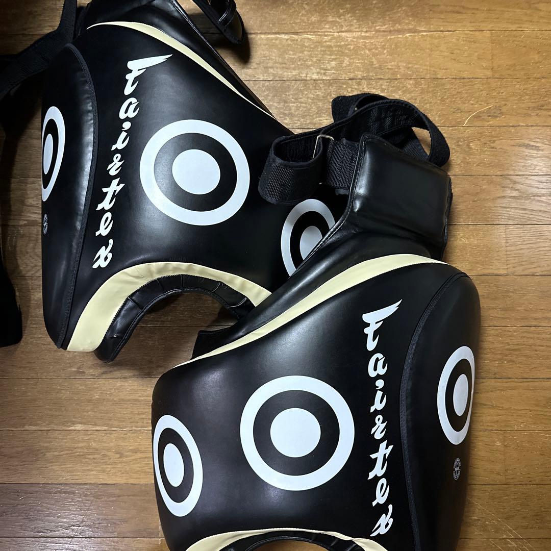 フェアテックス　Fairtex ローキックパッドプロテクター左右セット