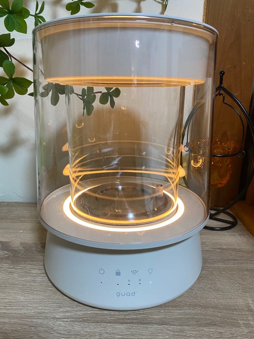 QUADS ガラス スチーム加湿器 アイボリー