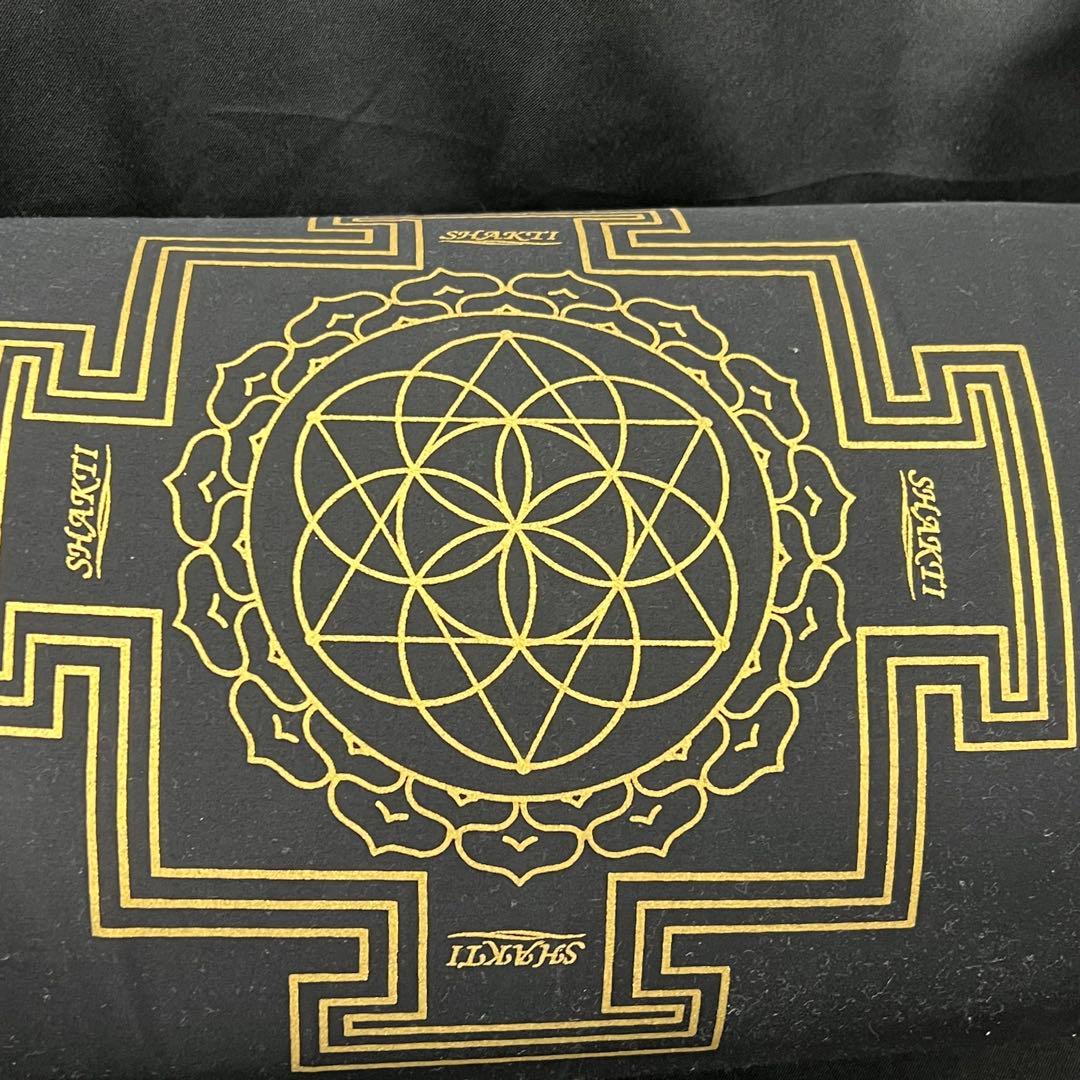 G3【used】シャクティ　マット　健康マット　ヨガ