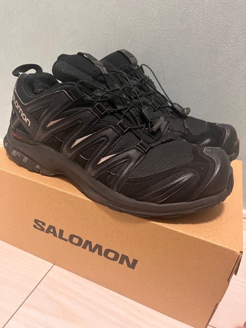 靴 SALOMON XA PRO 3D GTX