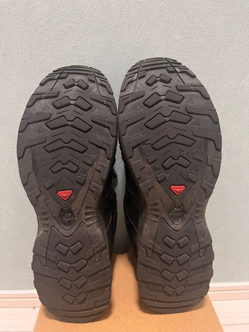 靴 SALOMON XA PRO 3D GTX