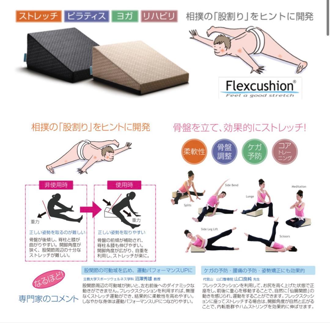 美品　サンテプラス フレックスクッション　パールホワイト