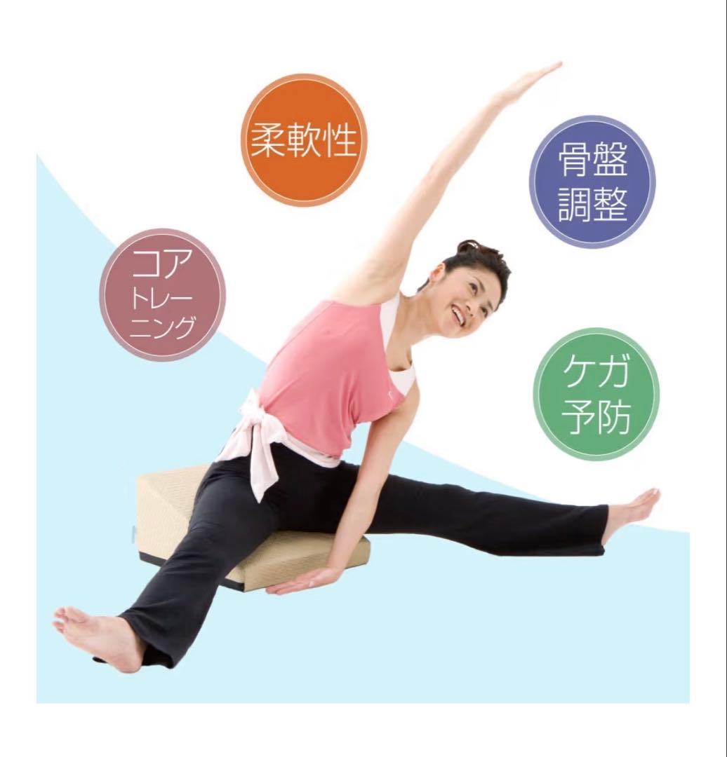 美品　サンテプラス フレックスクッション　パールホワイト