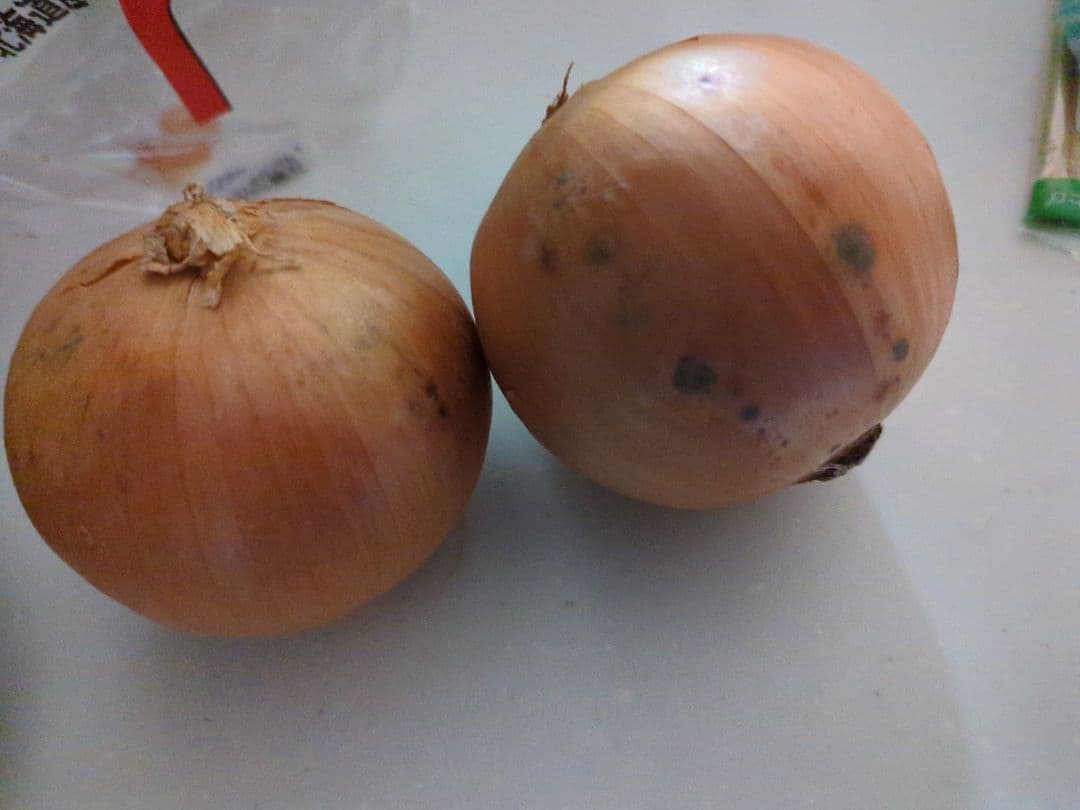 玉ねぎの皮 10000円/5㌔