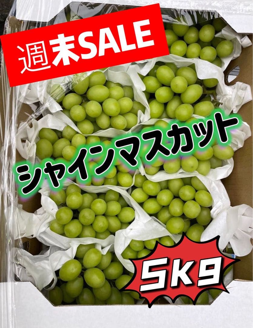 山口県クール便‼️シャインマスカット　葡萄　ぶとう　ブトウ　箱込み5kg