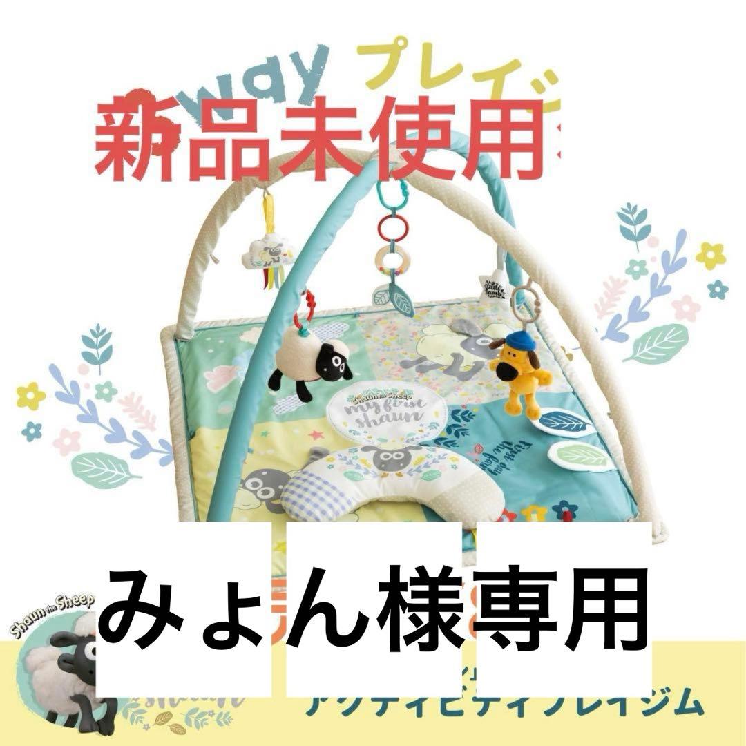 アクティビティプレイジム 新品未使用