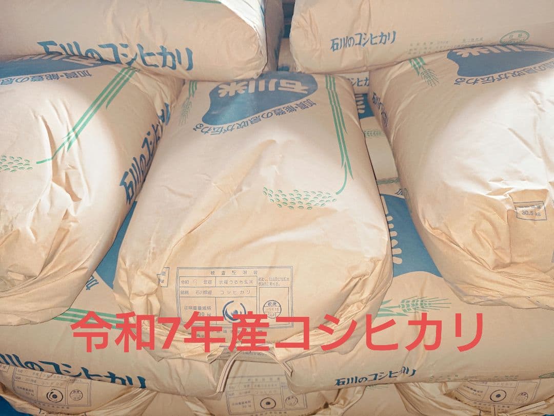 令和7年　石川県産コシヒカリ玄米30キロ