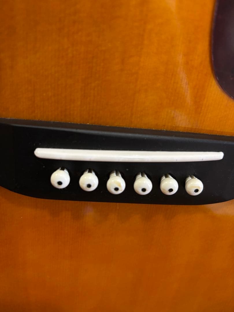 MORRIS アコースティックギター MD256TS