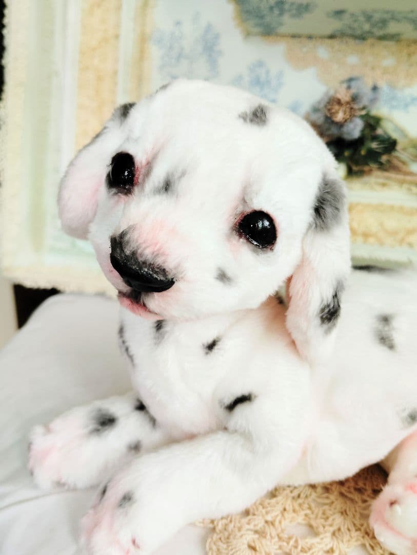 ちびのすけちゃん❤オーダー❤ダルメシアン子犬♡ベビー♡アートドール♡