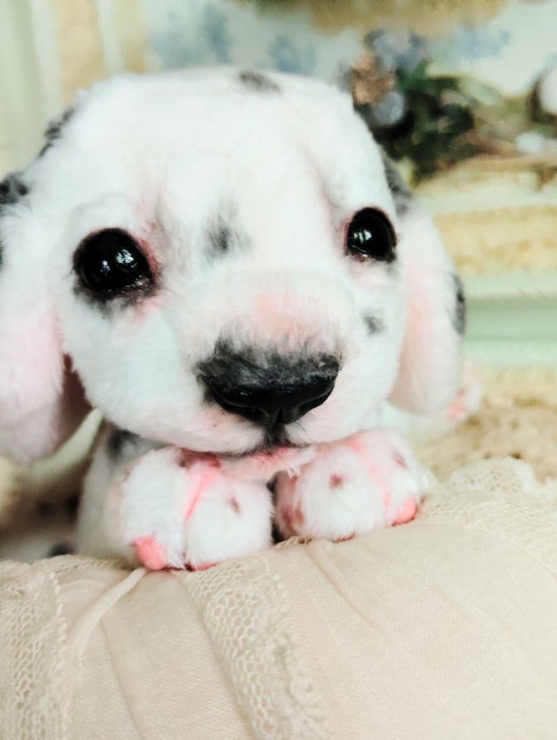 ちびのすけちゃん❤オーダー❤ダルメシアン子犬♡ベビー♡アートドール♡