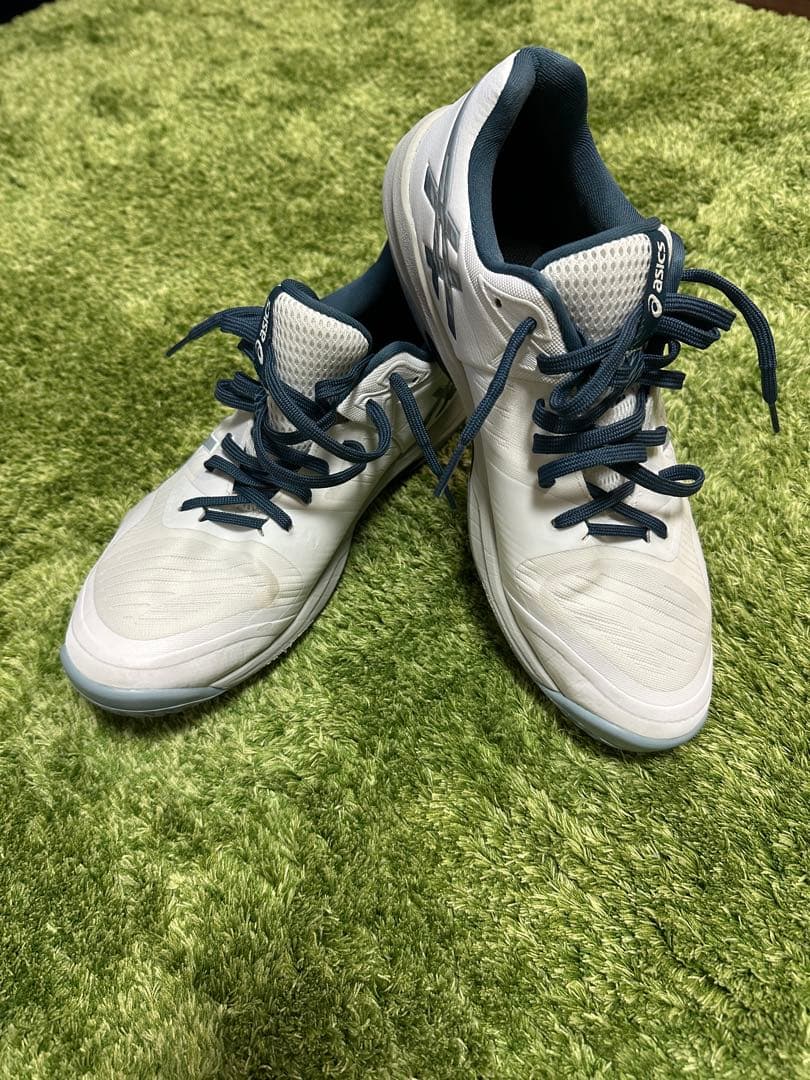 SKY ELITE FF3 27.5センチ　ホワイト/ドルフィングレー