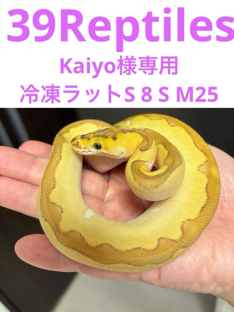 Kaiyo　ラットS 8 S M25