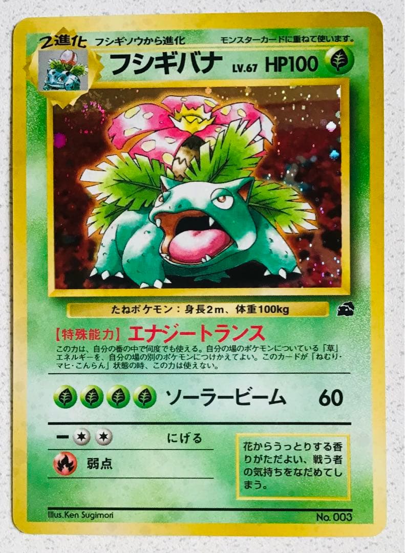 ポケモンカード旧裏　草タイプ5枚　エネルギーカード7枚つき