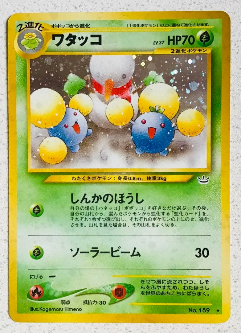 ポケモンカード旧裏　草タイプ5枚　エネルギーカード7枚つき