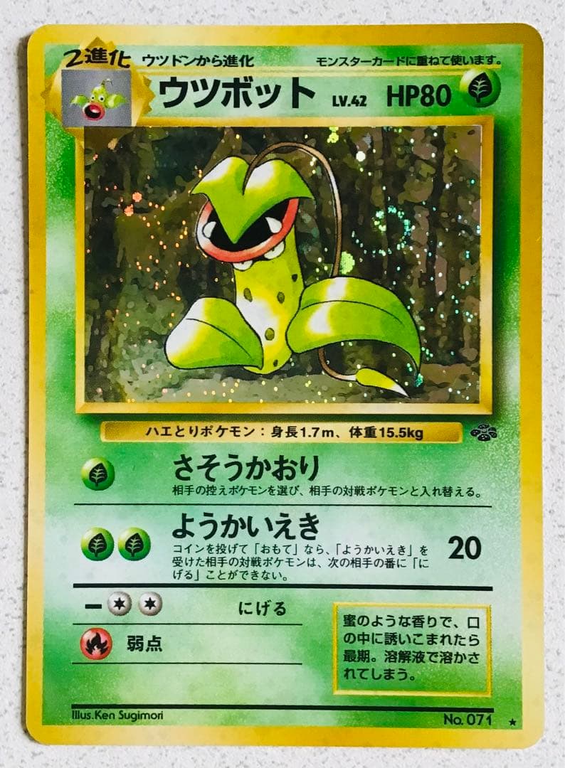 ポケモンカード旧裏　草タイプ5枚　エネルギーカード7枚つき