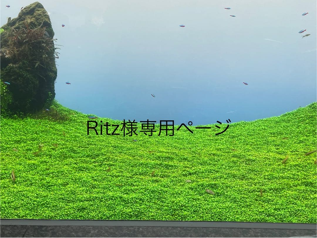 YA-MANデザインリフトモア　 ストレッチシート目元・口元各3セット