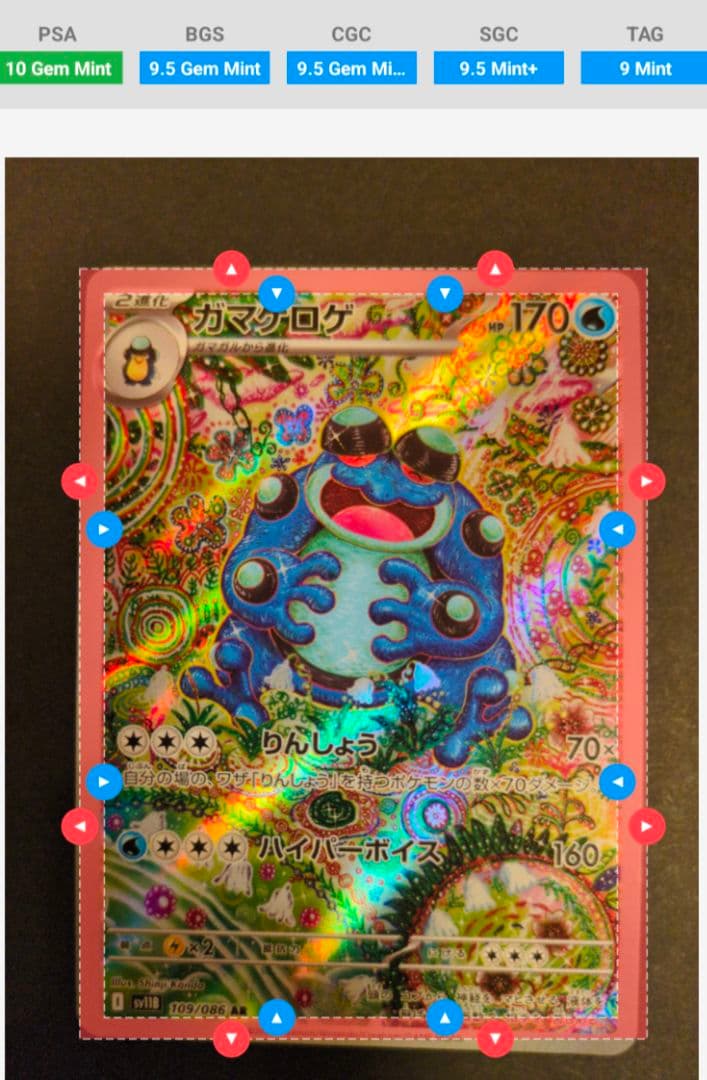 美品 オタマロ ガマガル ガマゲロゲ 進化ライン ARレア 3枚セット