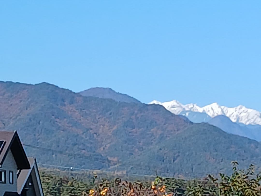 信州産　自然薯4キロ