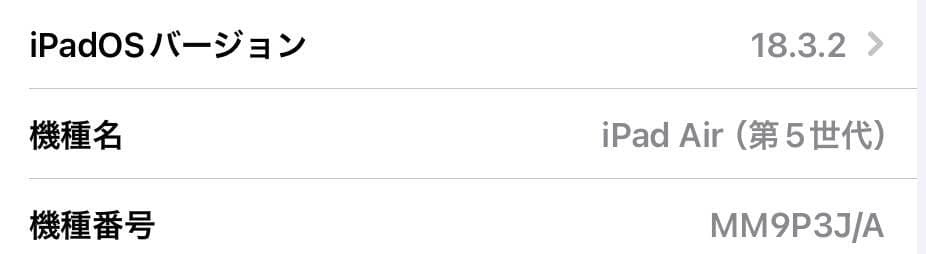 iPadAir 10.9　5世代　256GB　Wi-Fiモデル　バッテリー99％