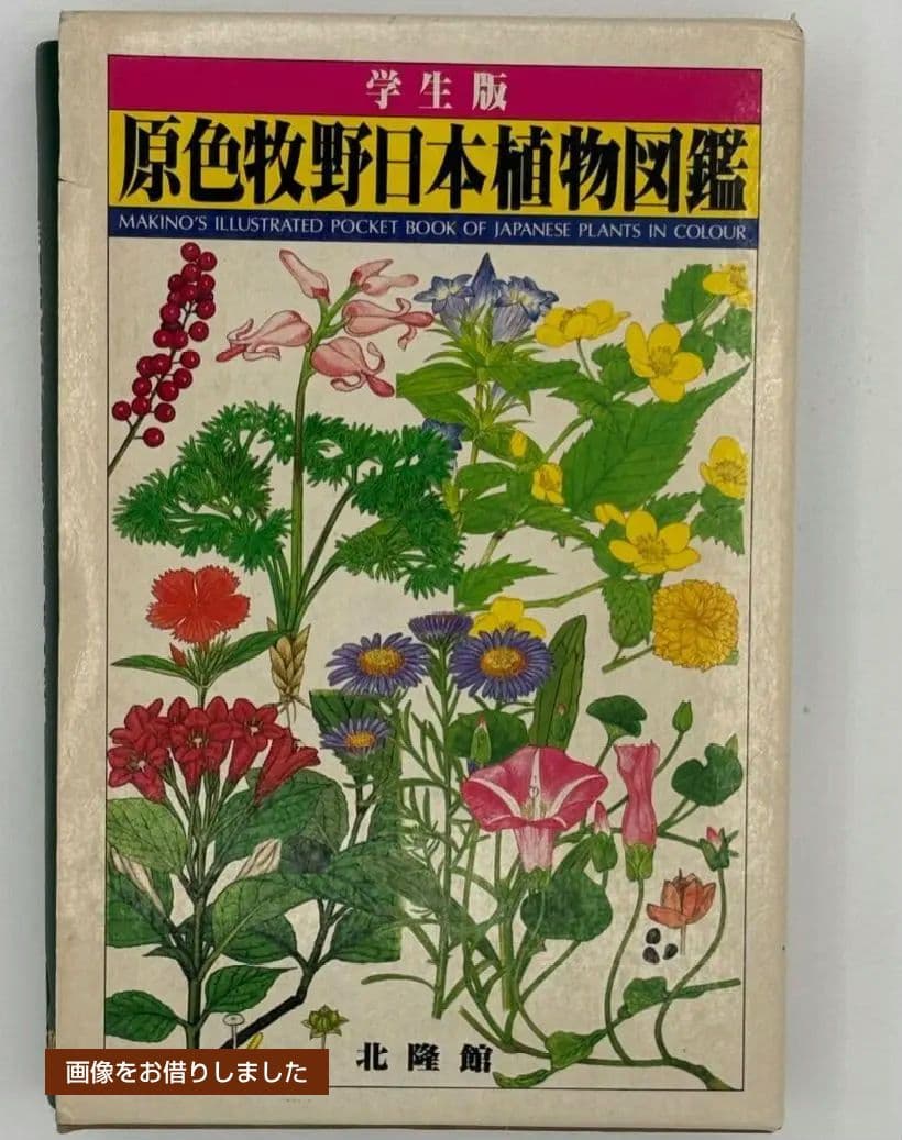 【原色牧野日本植物図鑑 コンパクト版】【原色樹木図鑑】5冊牧野富太郎