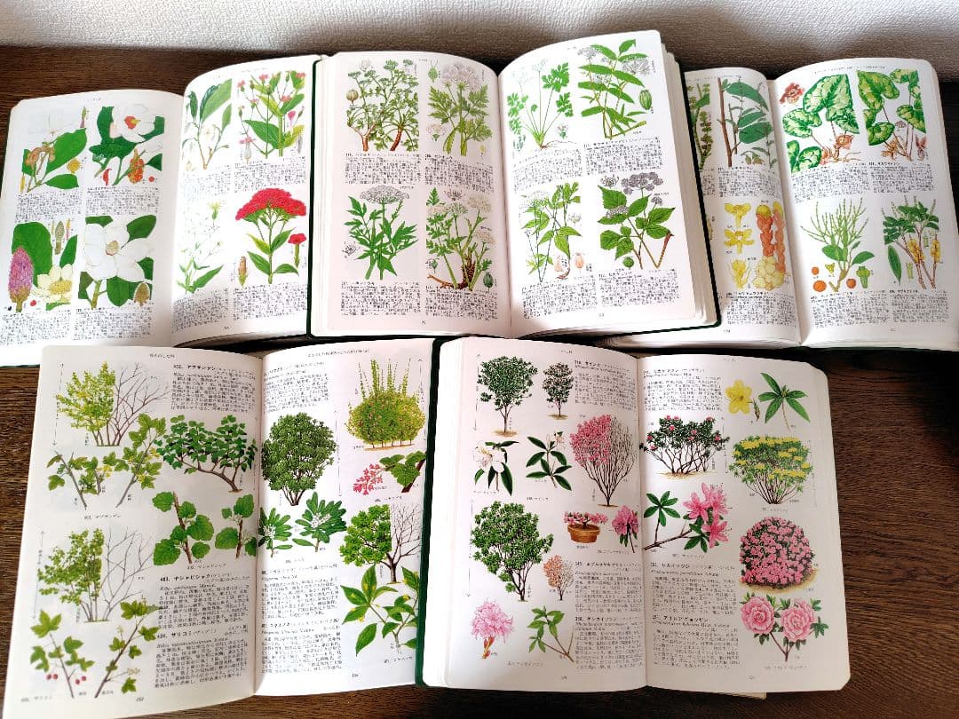 【原色牧野日本植物図鑑 コンパクト版】【原色樹木図鑑】5冊牧野富太郎