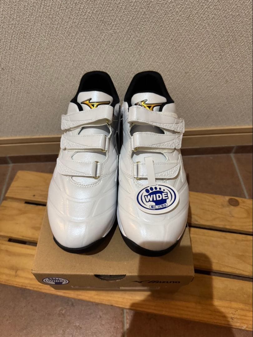 ⭐︎新品未使用品⭐︎完売品ミズノプロ　クッションレボプロ　トレーナー