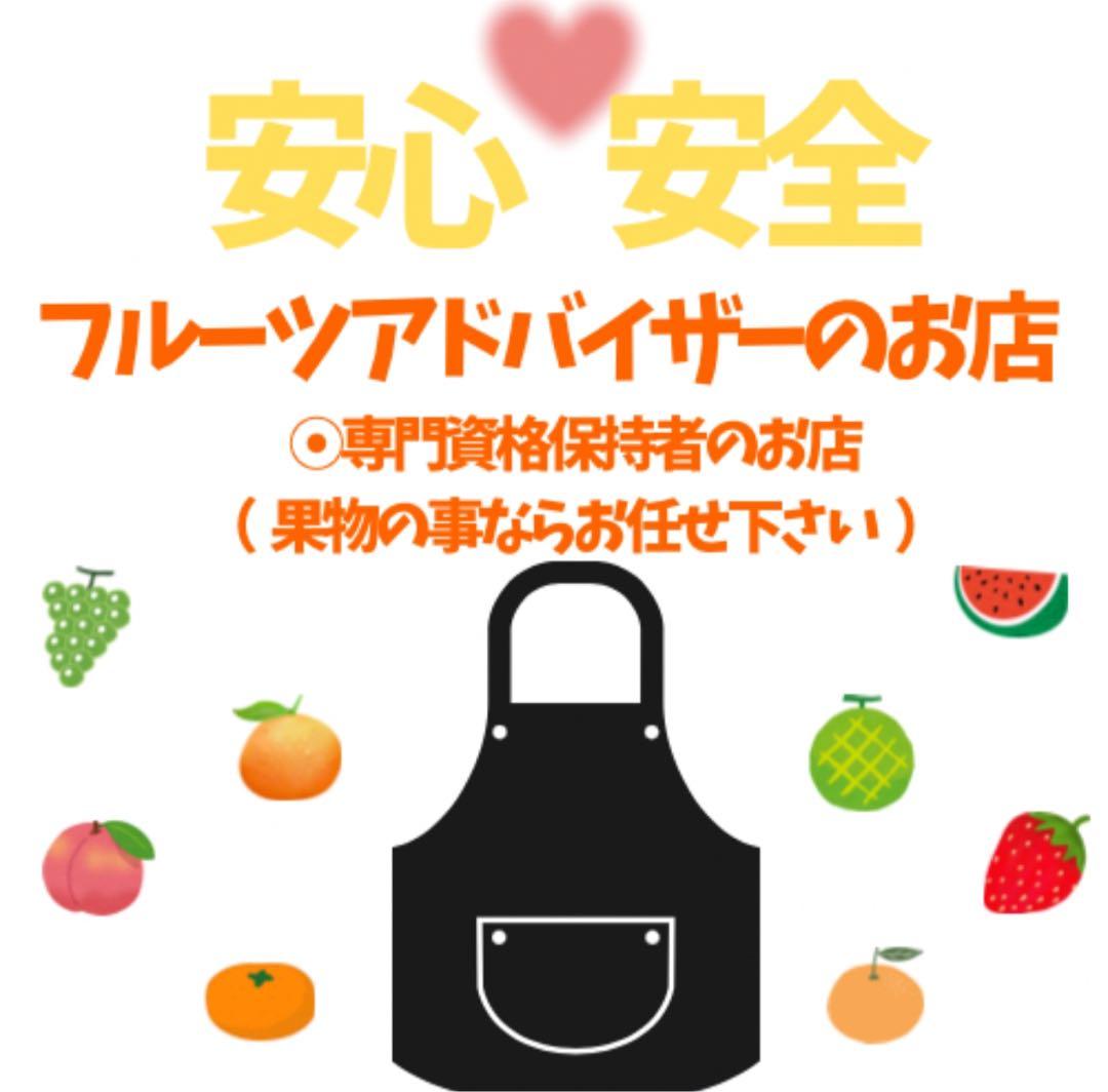 ㊳高知特産 露地栽培 土佐文旦 4L限定 文旦 約20kg 大玉 サイズ