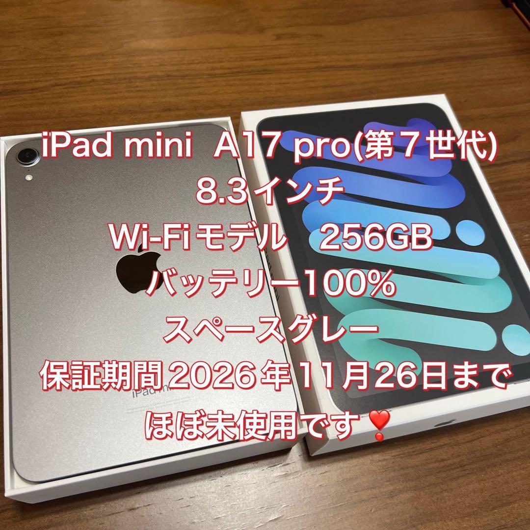 【超美品】iPad mini A17 pro (第7世代)Wi-Fi 256GB