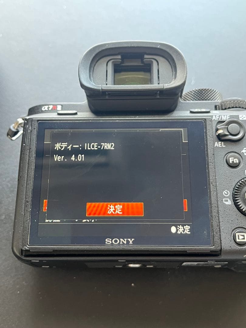 SONY α7RⅡ、TAMRON 28-75mm F/2.8 Di III