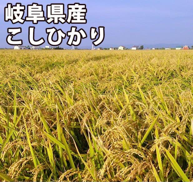 ②未開封 岐阜県産 令和4年度秋こしひかり 特許完全真空パック米 23.5kg