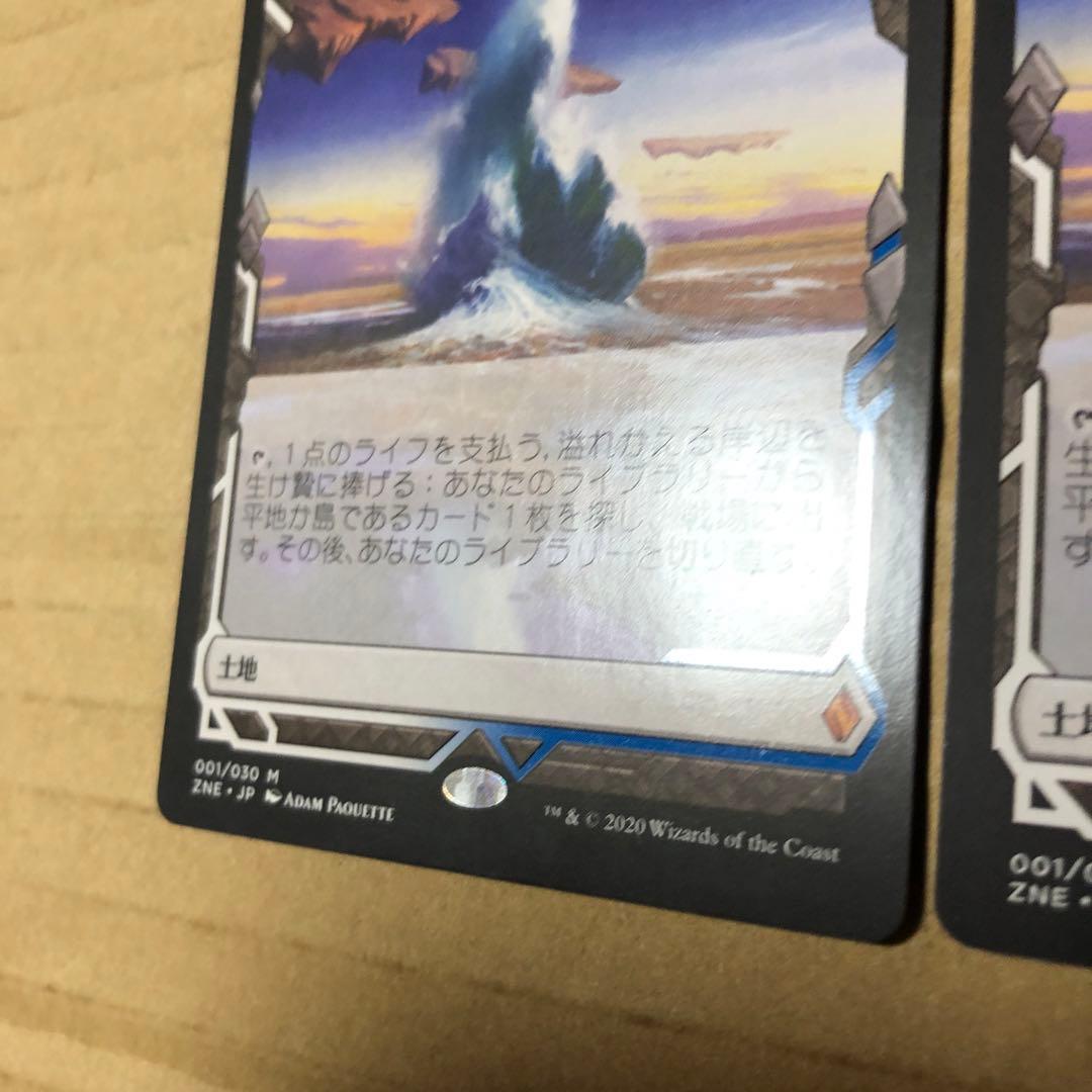 MTG　溢れかえる岸辺　エクスペディション　日本語　2枚セット