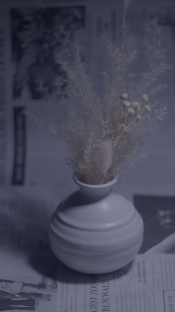 ISCO-GOTTINGEN 85mm f2.8 m42マウント