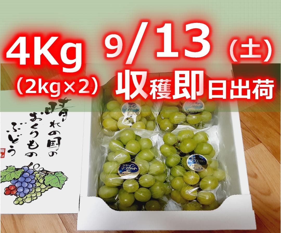 岡山県産シャインマスカット　４kg（６～８房）